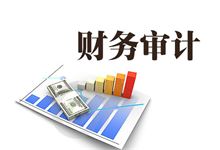 杨林街道企业在财务审计中存在的问题及对策