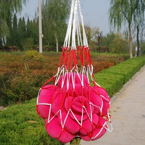 东乌珠穆沁绳网袋篷在商标注册的类别